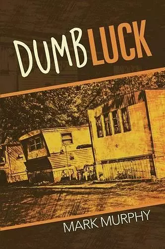 Dumb Luck cover