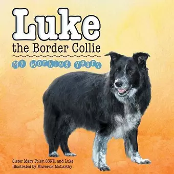 Luke the Border Collie cover