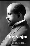 The Negro cover