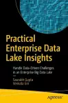 Practical Enterprise Data Lake Insights cover