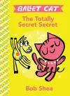 The Totally Secret Secret cover