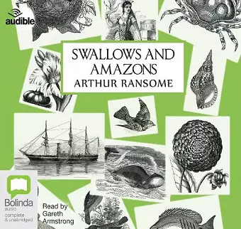 Swallows and Amazons cover