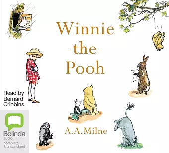 Winnie the Pooh cover