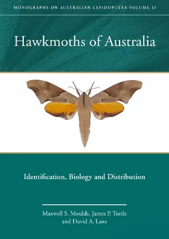 Hawkmoths of Australia cover