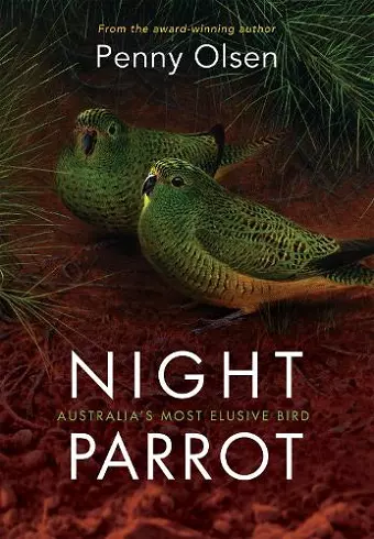 Night Parrot cover