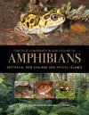 Status of Conservation and Decline of Amphibians cover