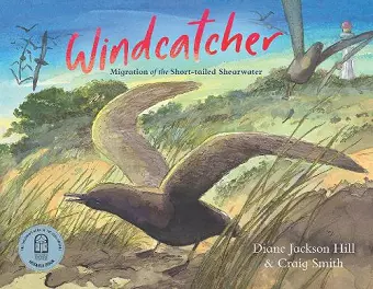 Windcatcher cover