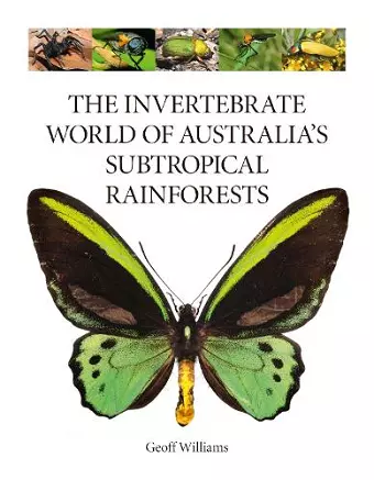 The Invertebrate World of Australia's Subtropical Rainforests cover