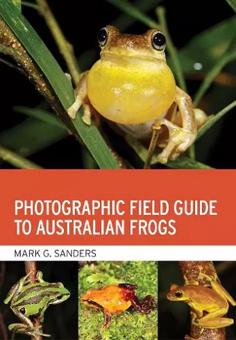 Photographic Field Guide to Australian Frogs cover