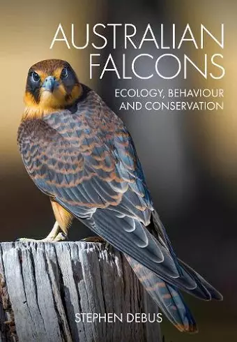 Australian Falcons cover