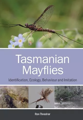 Tasmanian Mayflies cover