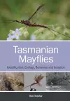 Tasmanian Mayflies cover