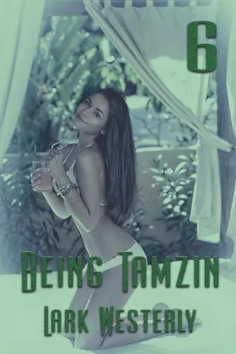 Being Tamzin 6 cover