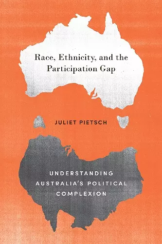 Race, Ethnicity, and the Participation Gap cover