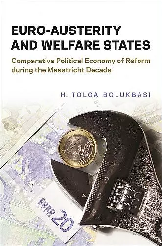 Euro-Austerity and Welfare States cover