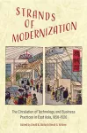 Strands of Modernization cover