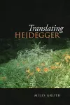 Translating Heidegger cover