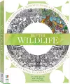 British Wildlife Colouring Kit cover