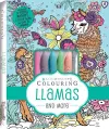 Kaleidoscope Colouring: Llamas and More cover