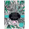 Kaleidoscope Colouring: Amazing Animals and More cover