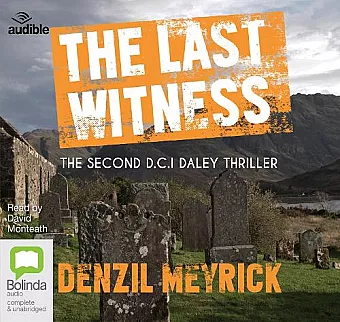 The Last Witness cover