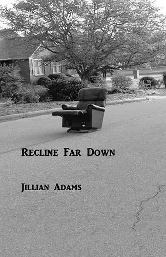 Recline Far Down cover