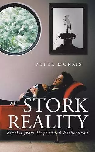 Stork Reality cover