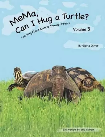 MeMa, Can I Hug a Turtle? cover