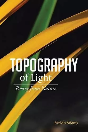 Topography of Light cover