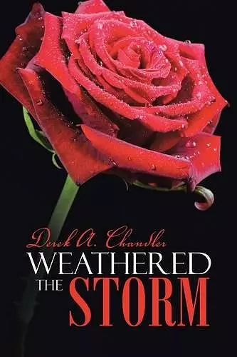 Weathered the Storm cover