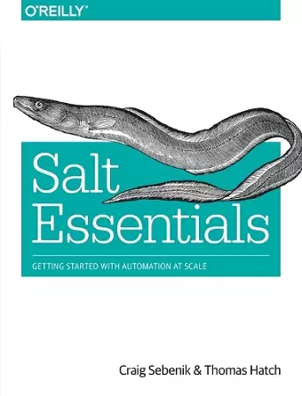 Salt Essentials cover