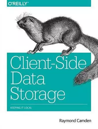 Client–Side Data Storage cover