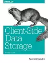 Client–Side Data Storage cover