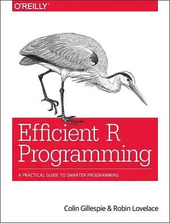 Efficient R Programming cover