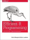 Efficient R Programming cover