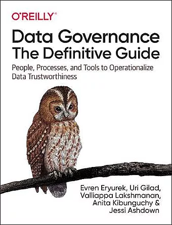 Data Governance: The Definitive Guide cover