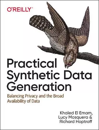 Practical Synthetic Data Generation cover