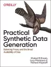 Practical Synthetic Data Generation cover