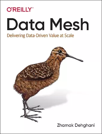 Data Mesh cover