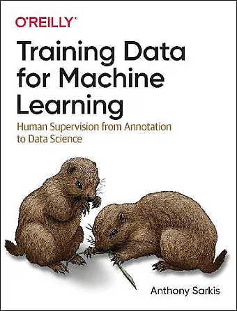Training Data for Machine Learning cover