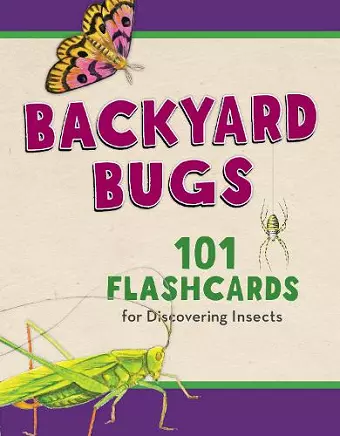 Backyard Bugs cover