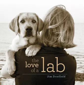 The Love of a Lab cover