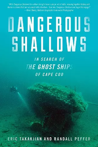 Dangerous Shallows cover