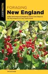 Foraging New England cover
