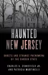 Haunted New Jersey cover