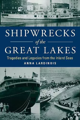 Shipwrecks of the Great Lakes cover