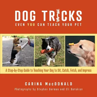 Dog Tricks Even You Can Teach Your Pet cover