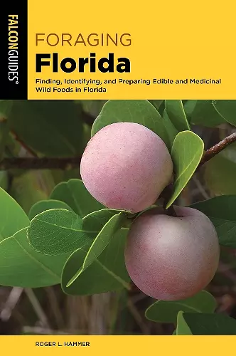Foraging Florida cover