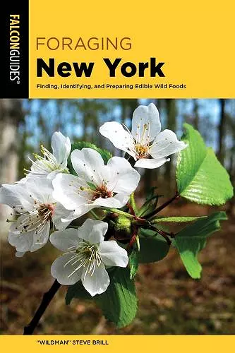 Foraging New York cover