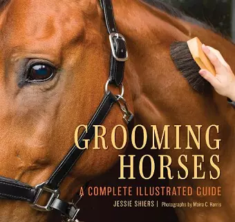 Grooming Horses cover